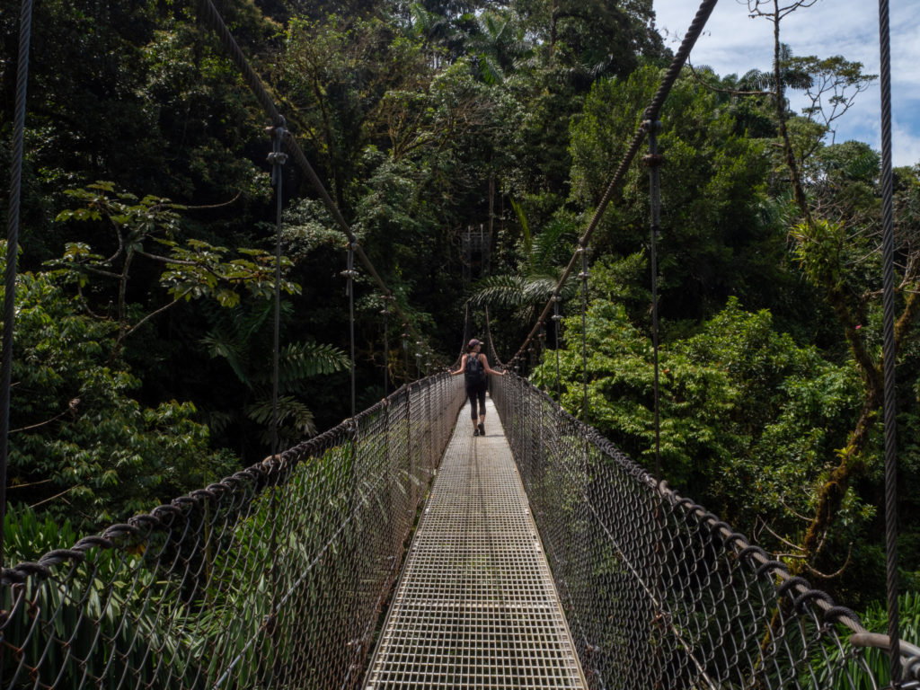 A girl walks across a hanging bridge surrounded by greenery.