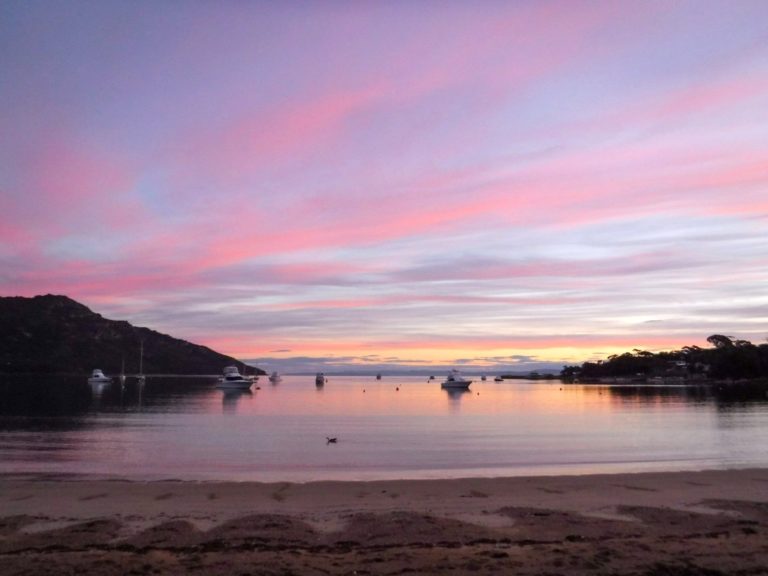 The 23 Best Things to do in Tasmania