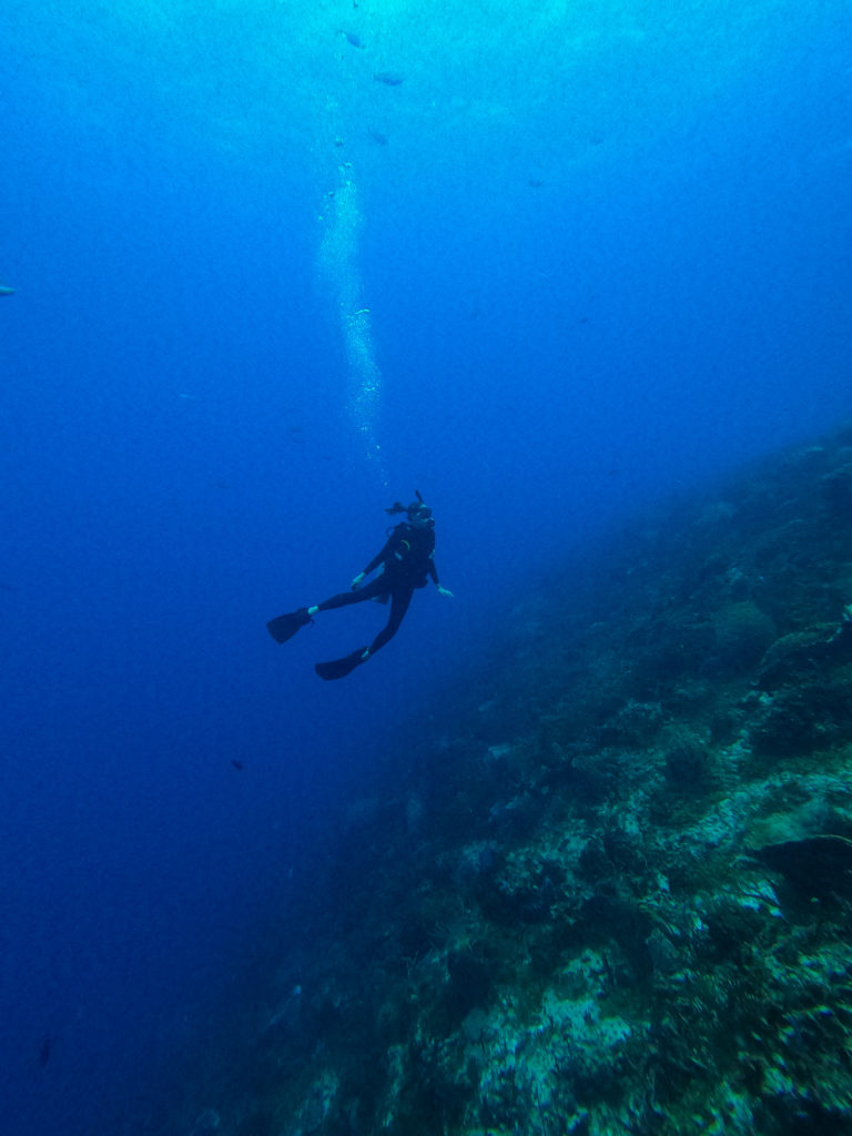 A girl SCUBA dives alone. Her air bubbles drift up to the surface.