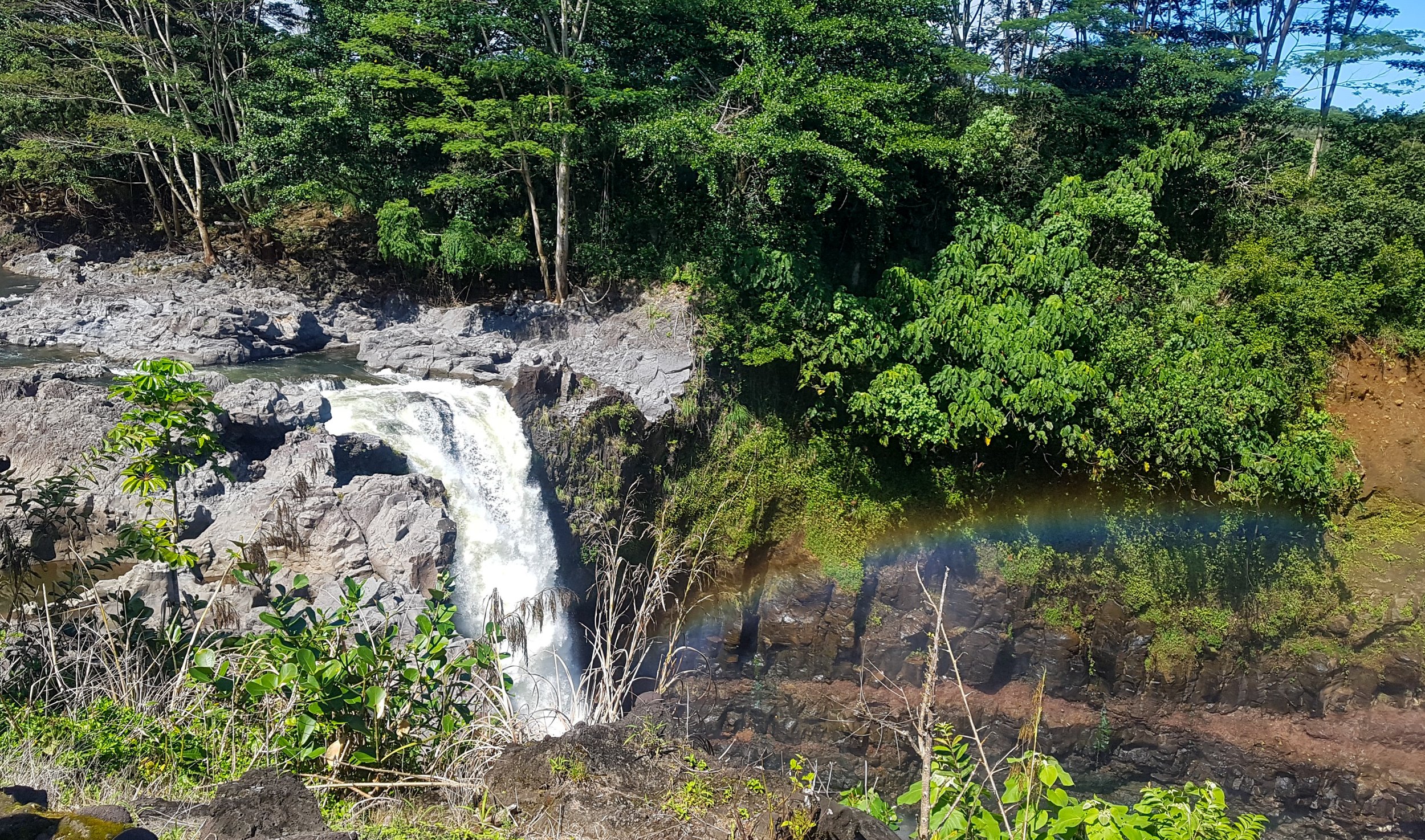 Things to do in Hilo, Hawaii - A Globe Well Travelled
