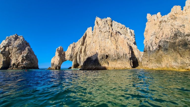 Ethically Whale Watching in Cabo San Lucas in 2024: Whale Watching Guide