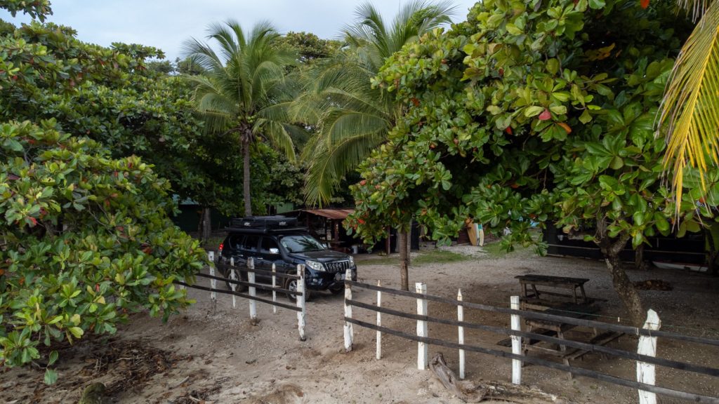 A black camper car, parked by a beach, is surrounded by tropical greenery.