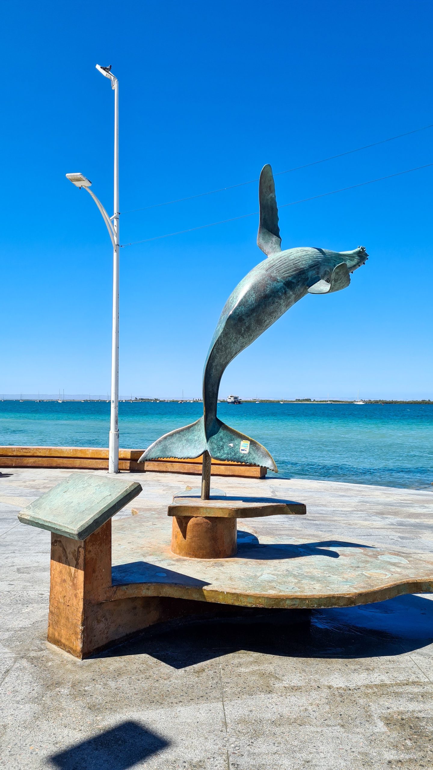 La Paz's Malecon is lined with metal statues of marine animals. This large statue is of a breaching humpback whale.