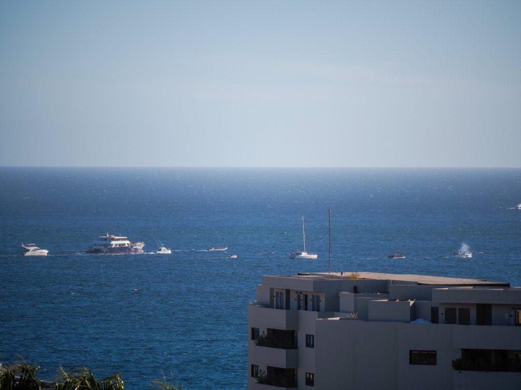 The view from a coastal balcony: many boats of different sizes chase a whale through the bay.