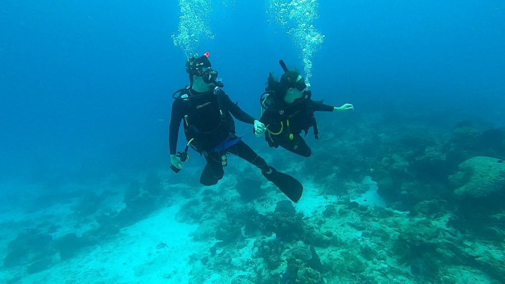Two SCUBA divers hold hands as they spot something out of shot.