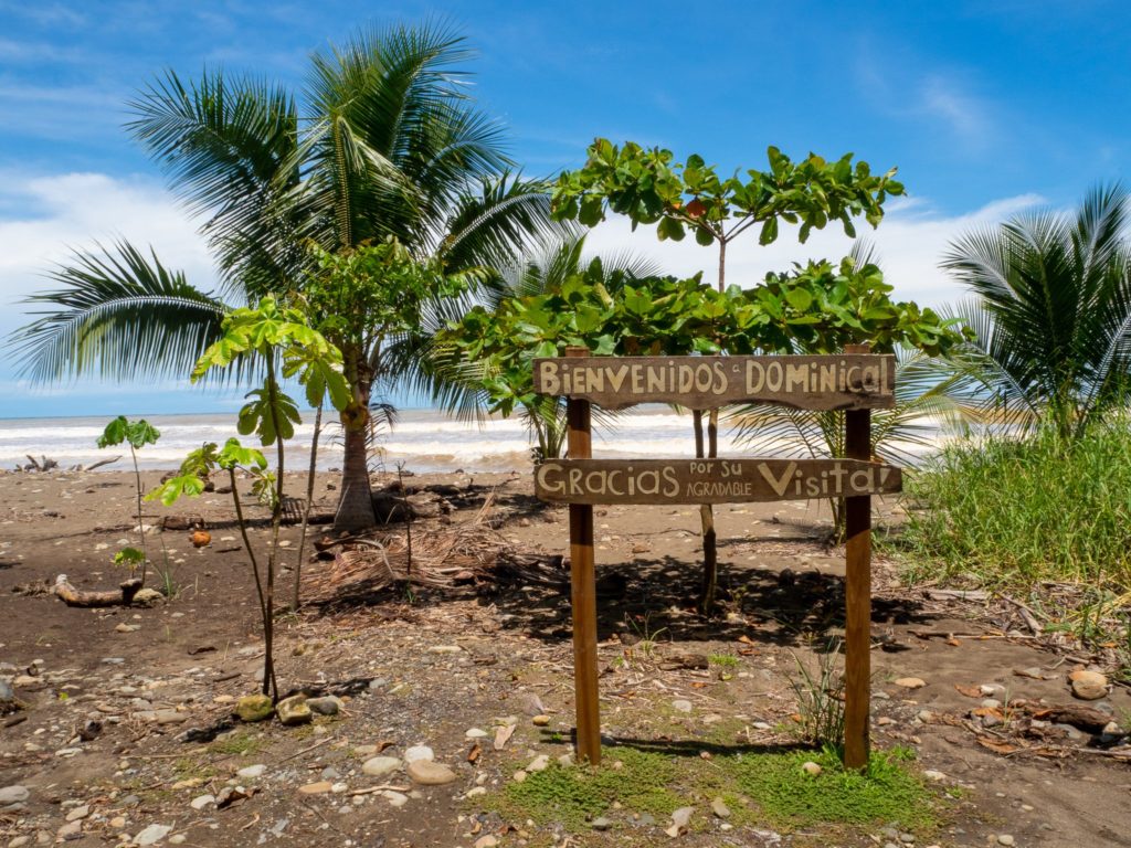 The welcome sign at Playa Dominical is made of wood and right by some palm trees.