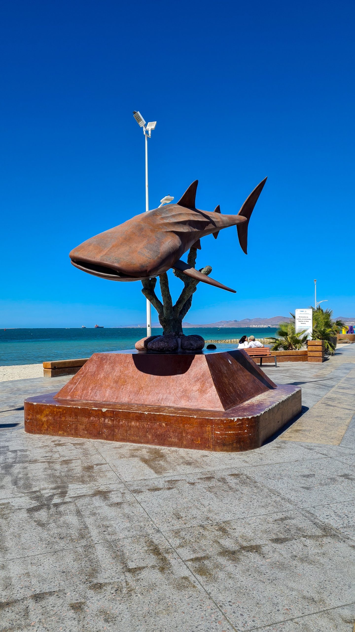 A metallic sculpture of a whale shark sits proudly on the La Paz malecon.