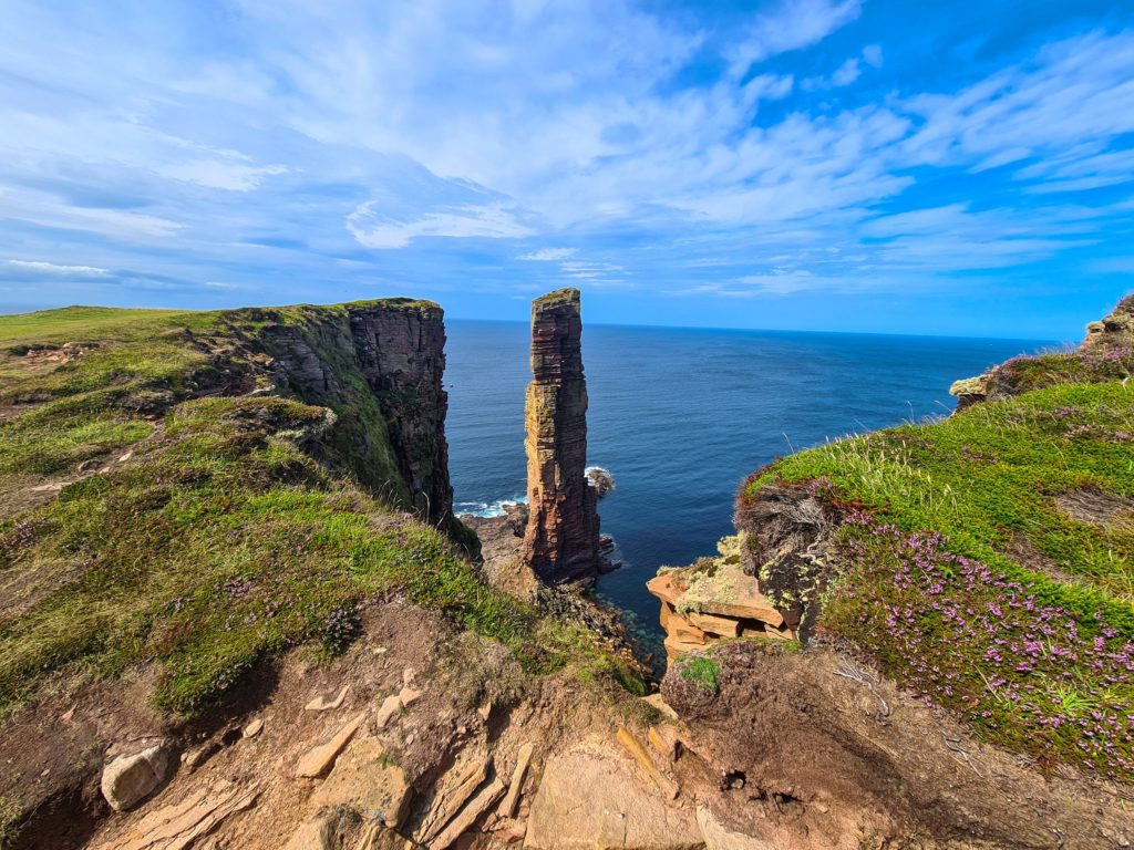 A tall sea-stack stands alone in the water. In the foreground we see the cliff edge covered in purple flowers.