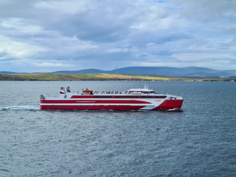 whale watching tour orkney