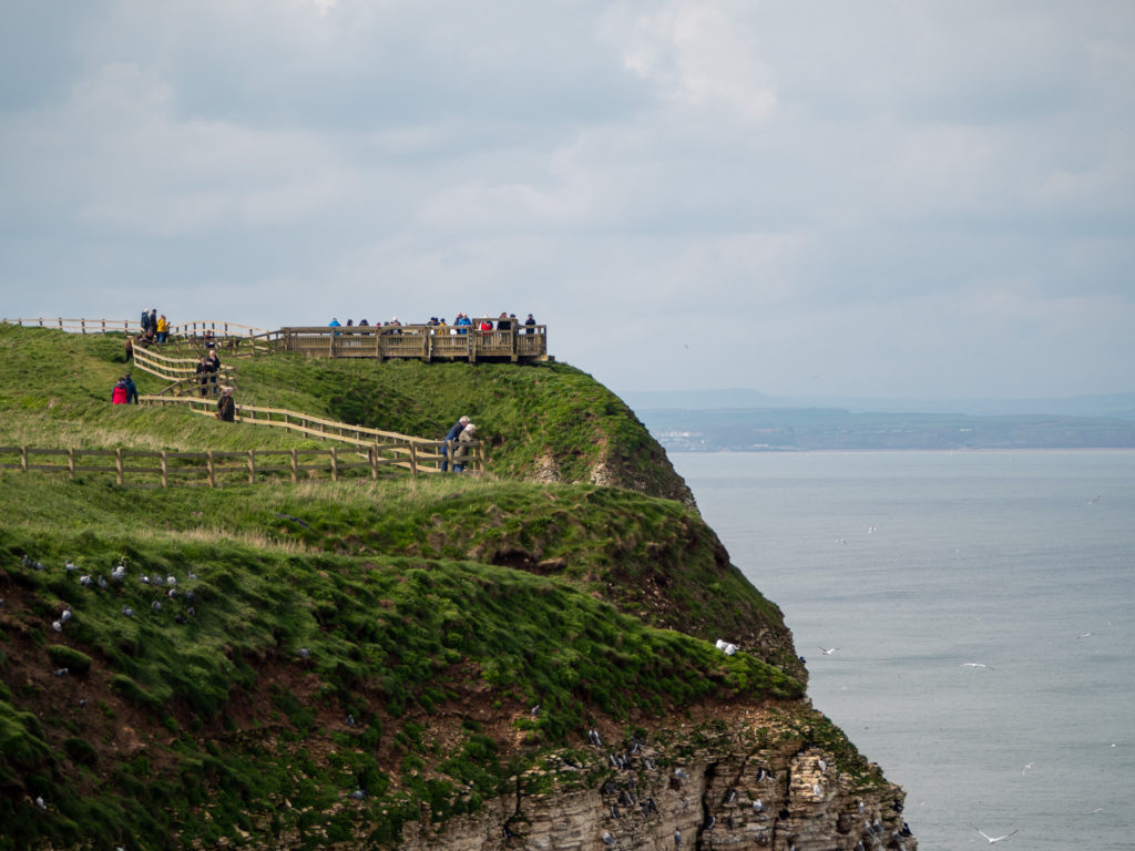 A few visitors to Bempton's famous cliffs eagerly look out with binoculars at the birds below.