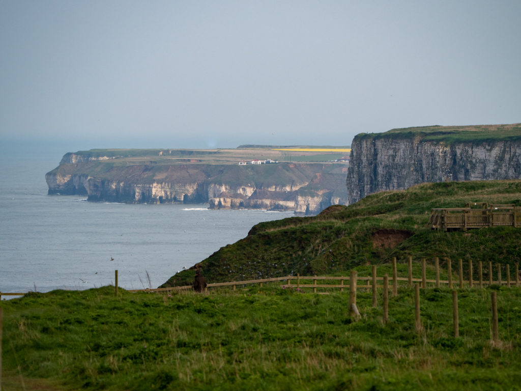 A view from Bempton cliffs. In the distance we see a small collection of buildings on a neighbouring cliffside. Waves strike the bare rock way below and fill small caves with sea water.