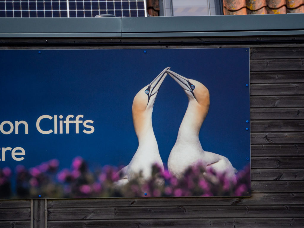 A large poster of two gannets greeting each other hangs above the entrance to Bempton.