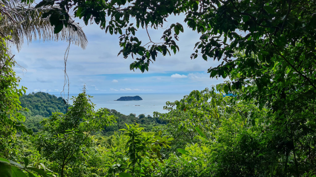 A gap in the deep green of Manuel Antonio's forest reveals the ocean and a small island not far off sure.