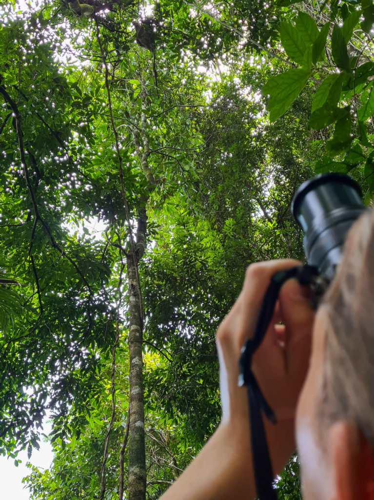 A unique over-the-shoulder view of a photographer as she photographs a sloth in the canopy.