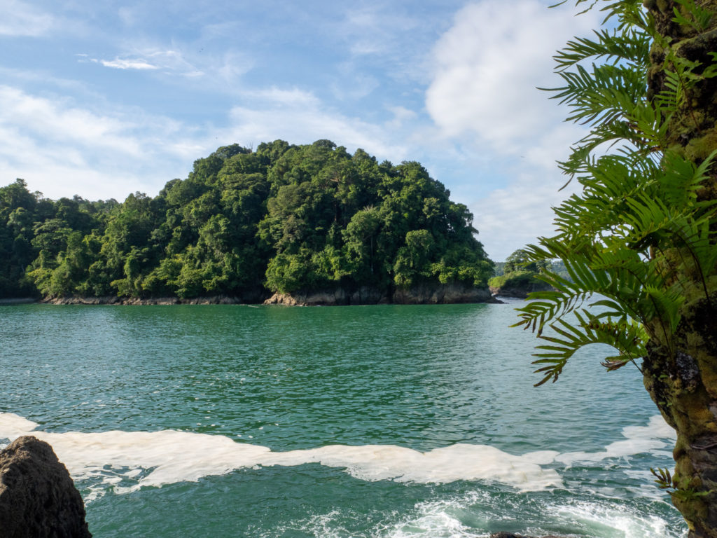 An island of trees stands out in the blue-green waters of the Pacific Ocean.