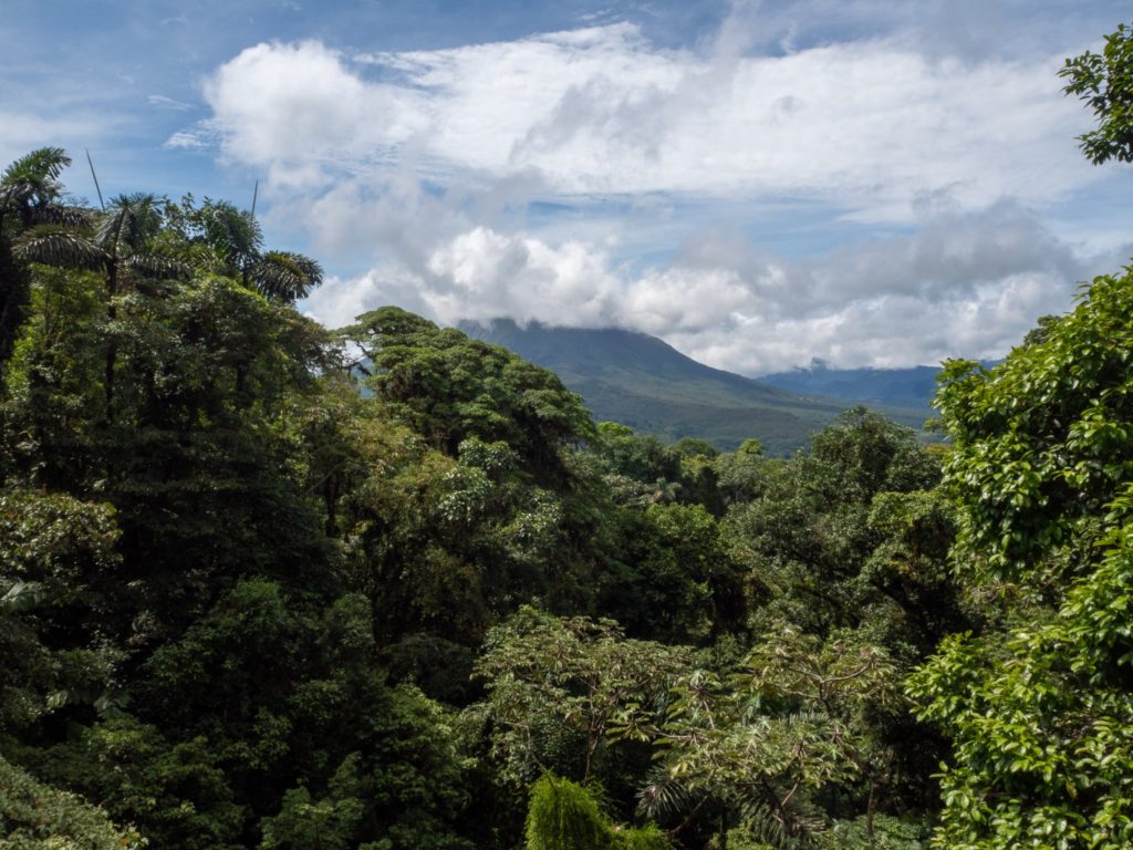 A view of Arenal volcano from Mistico hanging bridges. The surrounding area is full of trees.