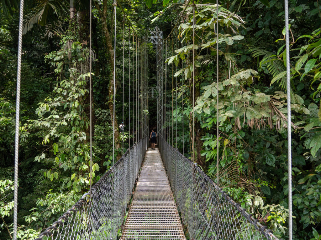 Tropical plants and trees surround a metal bridge. Man with a backpack walks across and reaches the other side.