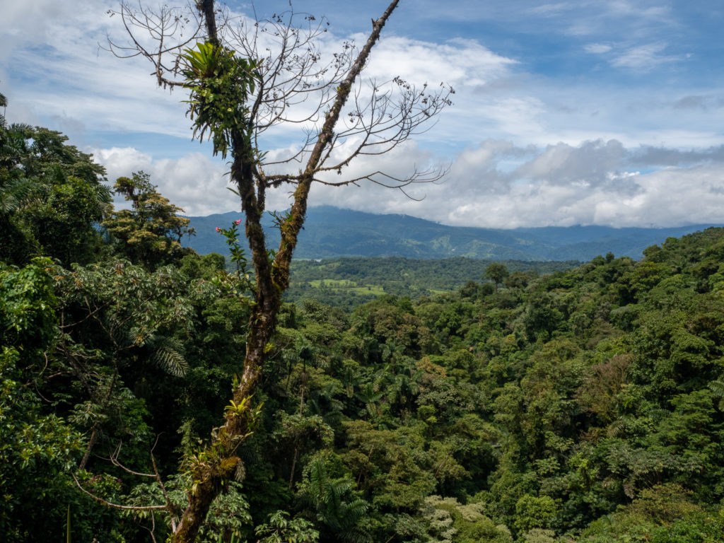 The green landscape of Costa Rica stretches out into the distance. Different shades of green blend into a luscious backdrop.