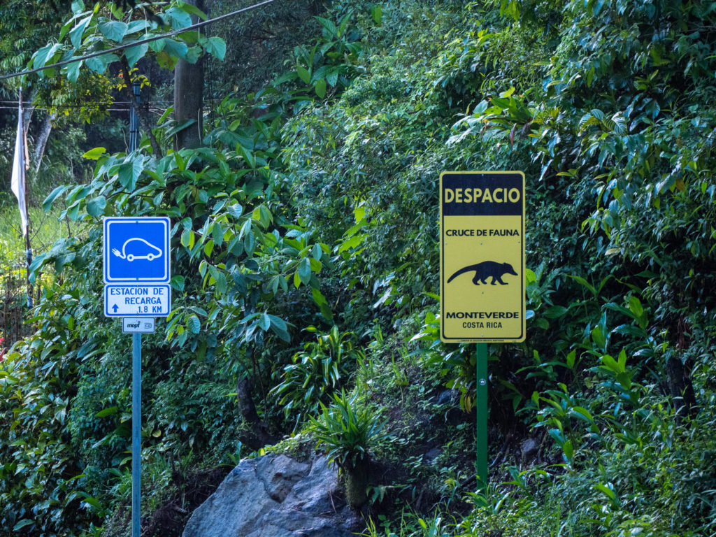 A yellow caution sign warns drivers to slow down for the wildlife in the area.