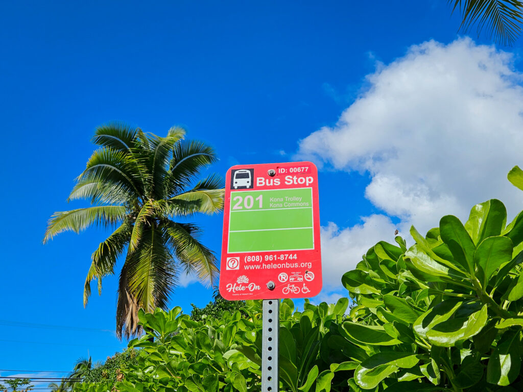 A bright pink and green bus stop sign stands out against the blue sky.
