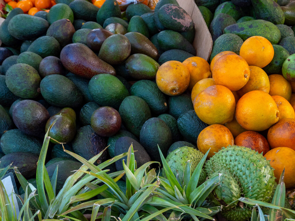 Fresh avocados, oranges and soursops and pineapples at a local farmers market.