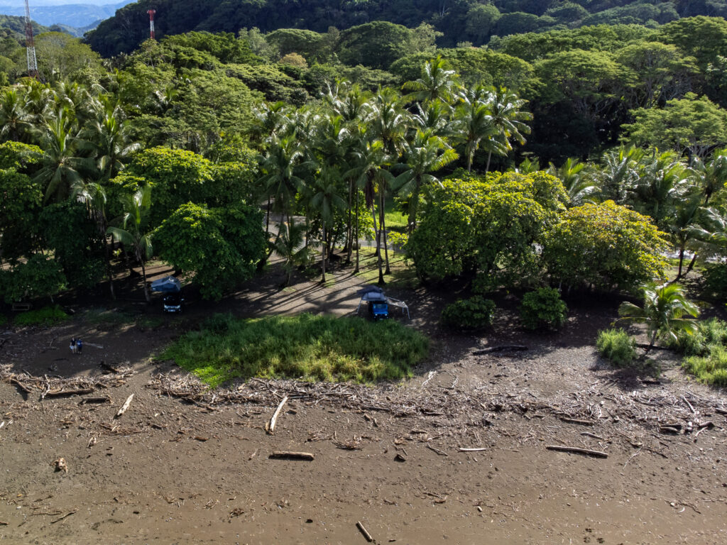 An aerial view of a camp site right on the beach. Two cars are parked on the edge of the line of palm trees which stretch out into the distance.
