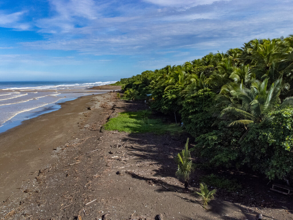 An aerial view of Dominical Beach, Costa Rica. We are looking along the coastline with a forest of palm trees on the right and the sea on the left.