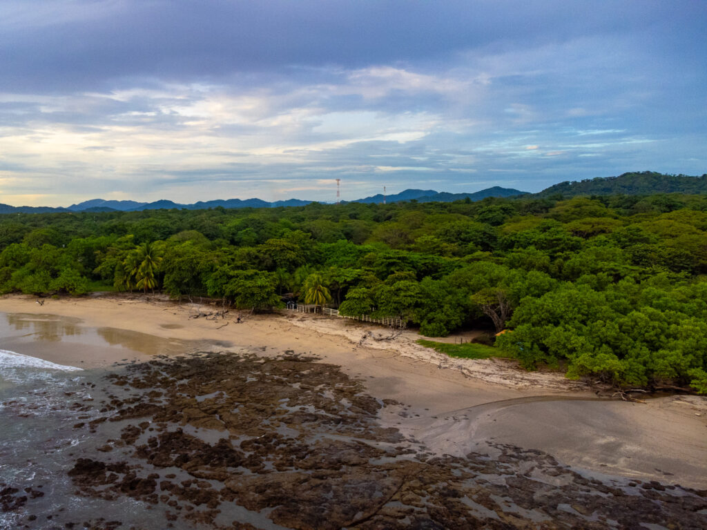 A drone shot of a tropical beach gives us a different point of view. We can see a vast forest stretching out into the distance as the sun hangs low in the sky.