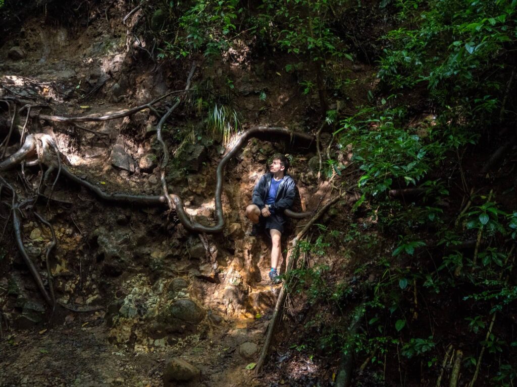 Dan takes a rest from hiking by leaning up against a wall of stones, earth and tree roots. The scene is dark with a few rays of sun poking through.