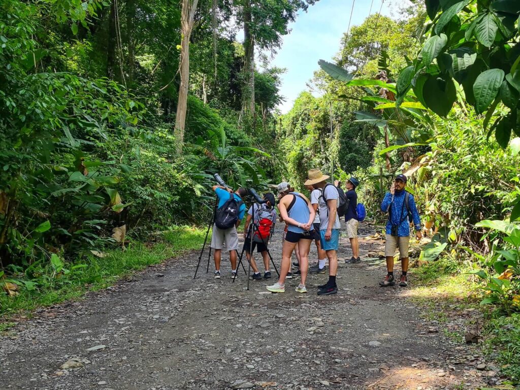 A group tour in Manuel Antonio National Park.