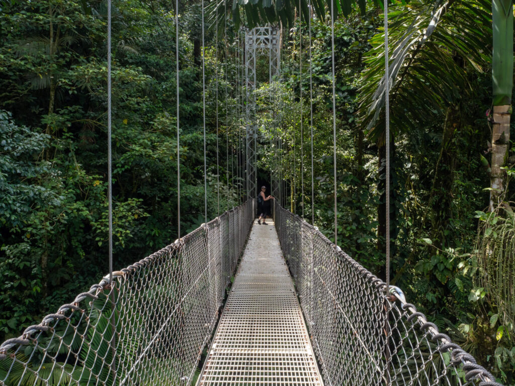 Tropical plants and trees surround a metal bridge. Lucy walks across and reaches the other side.