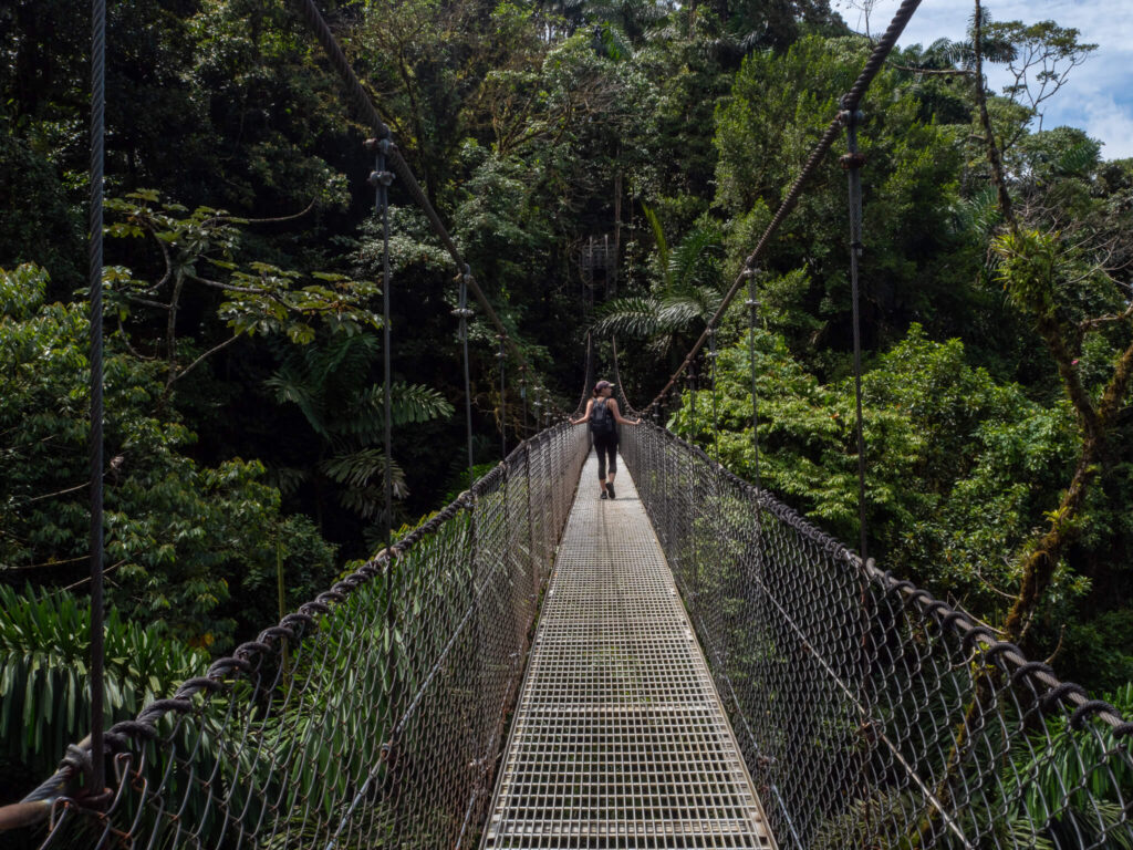 Lucy walks across a bridge in Costa Rica, surrounded by greenery.