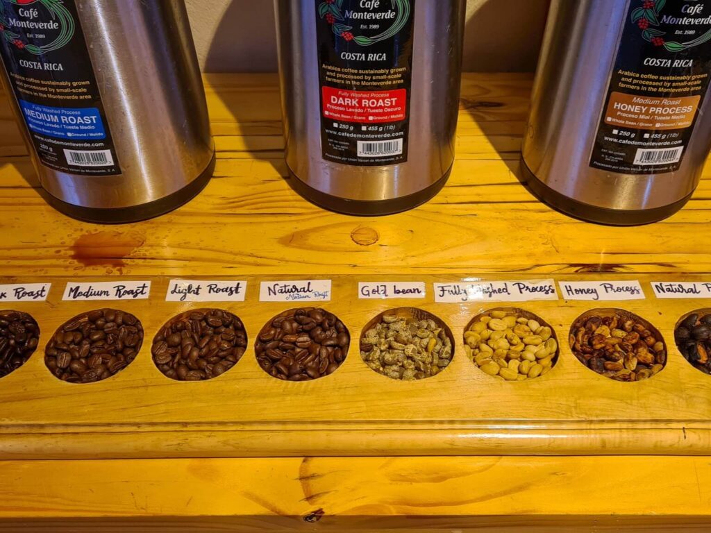 Eight varieties of coffee beans and roasts are laid out in a display to show their differences.