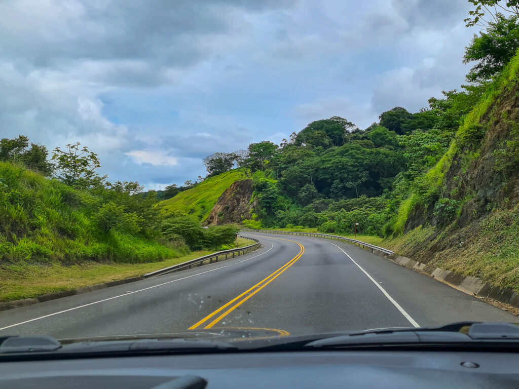 A road curving round a hill covered in trees and vibrant grasslands.