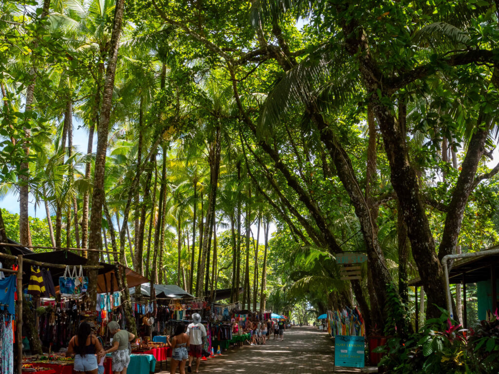 A line of market stalls selling colourful clothes and homemade crafts under the cover of palm trees.