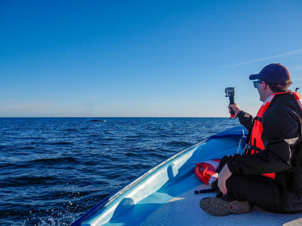 Dan sitting at the front of a small boat filming a nearby whale on his GoPro.