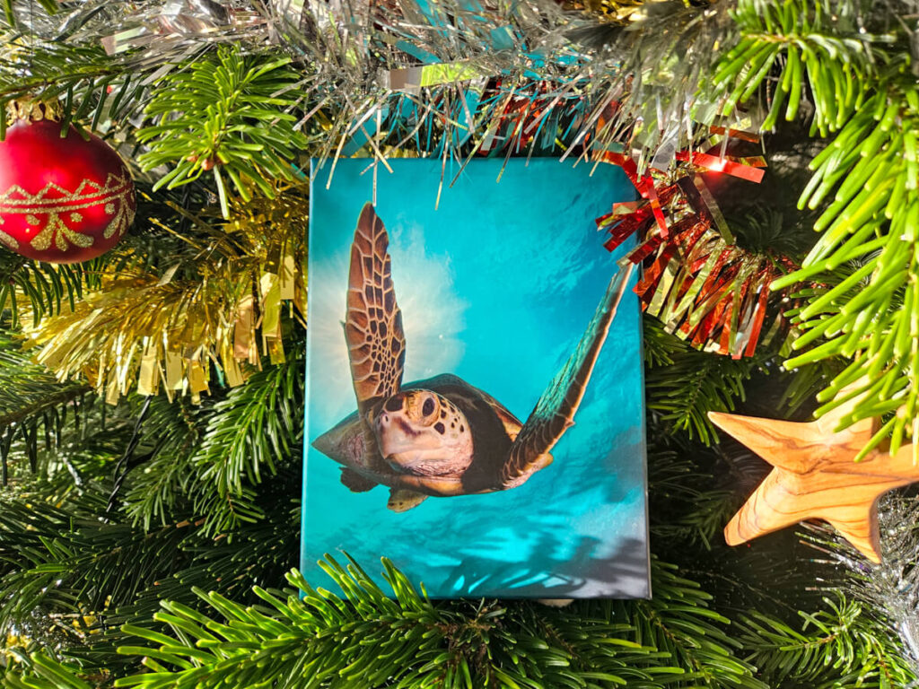 A notebook sits in a Christmas tree. It is surrounded by baubles and tinsel, and has a picture of a sea turtle printed on the front.