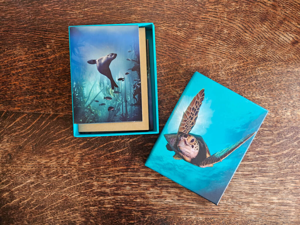 Colourful notbooks and cards with pictures of marine animals printed on them. There is a sea turtle on one, and a sea lion on the other, swimming through an underwater world.