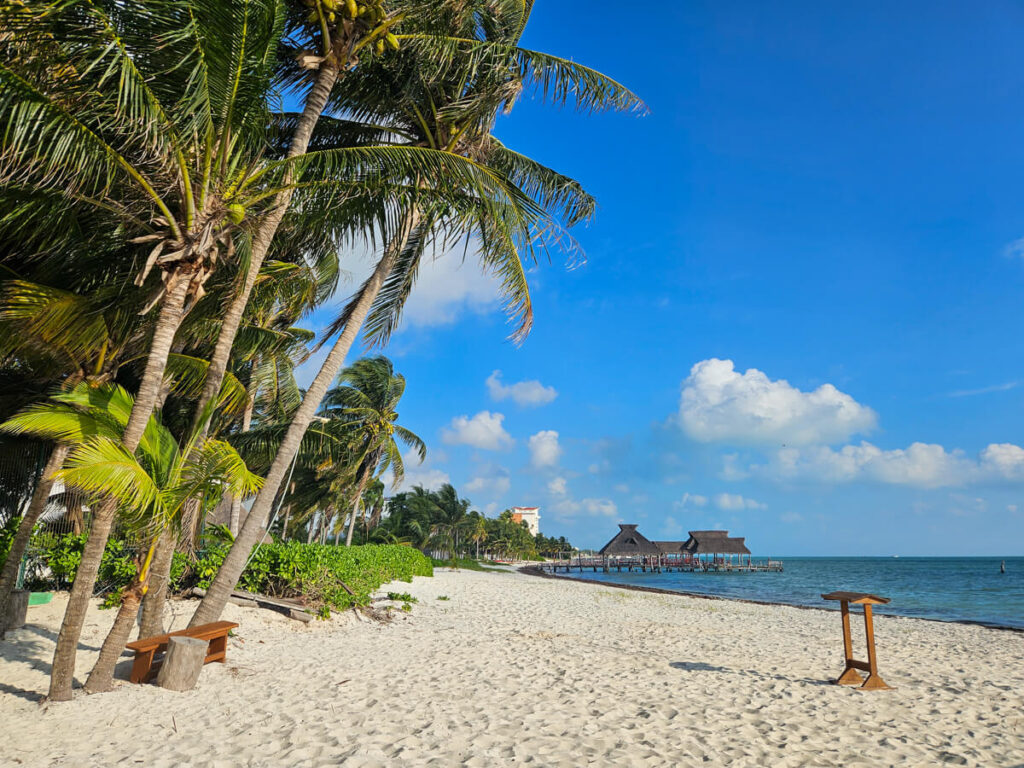 The clean sands of a beach beside Flamingos Kitchen, Cancun. A dock leads from the beach with traditional palapas overhead.