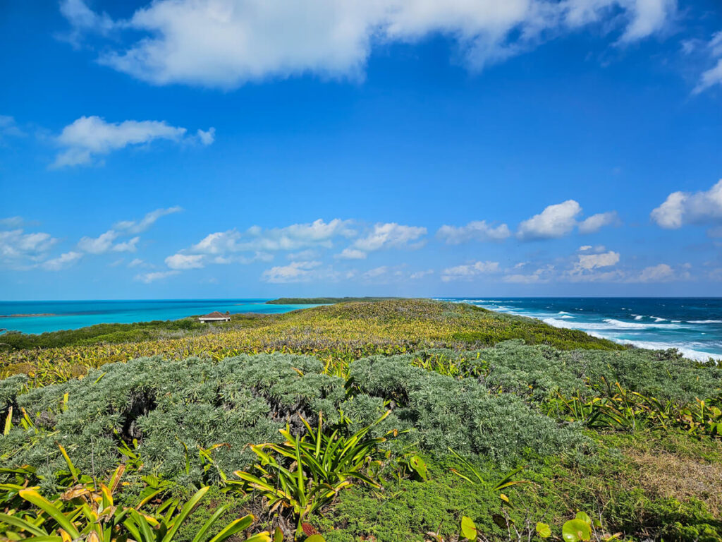 A thin part of Isla Contoy where both coasts can be seen at the same time. One side is turbulent seas and the other is smooth, clear water.