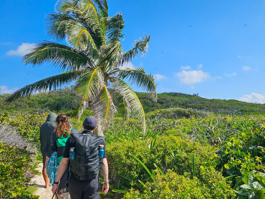 Dan walking with an Ocean Tours Mexico tour group on a path through the greenery of Isla Contoy. Isla Contoy can only be explored with a licensed guide.