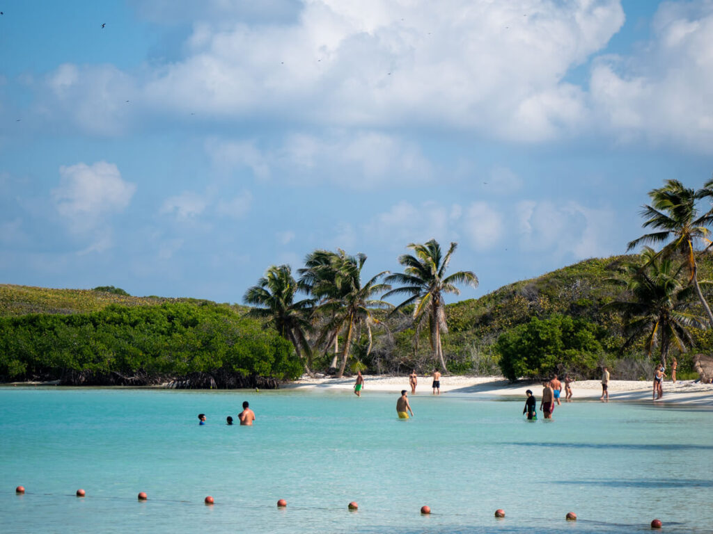 A small group of tourists paddling in the shallow waters of Isla Contoy Beach. Frigate birds are flying in the skies above.
