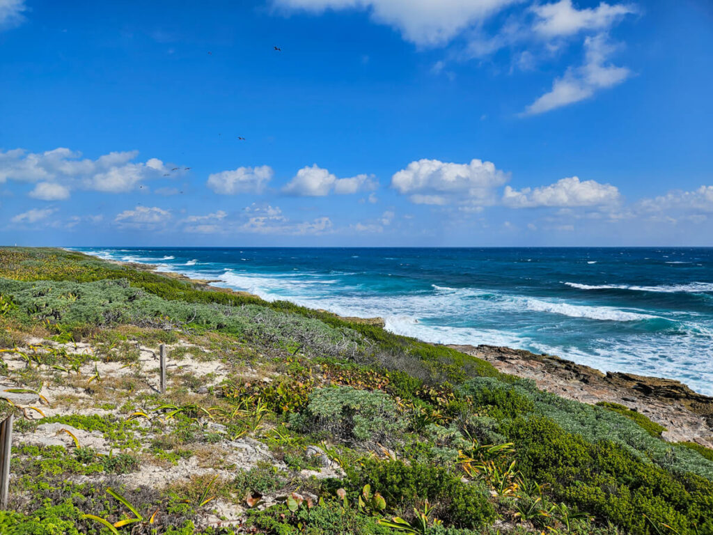 Waves crashing on the Caribbean side of Isla Contoy. Frigate birds are flying in the blue sky above.