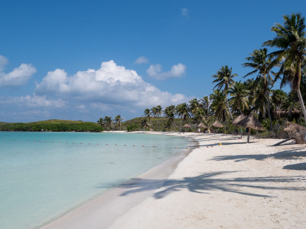 Small palapas lining the white sand beach of Isla Contoy. Palm trees are blowing gently in the wind.