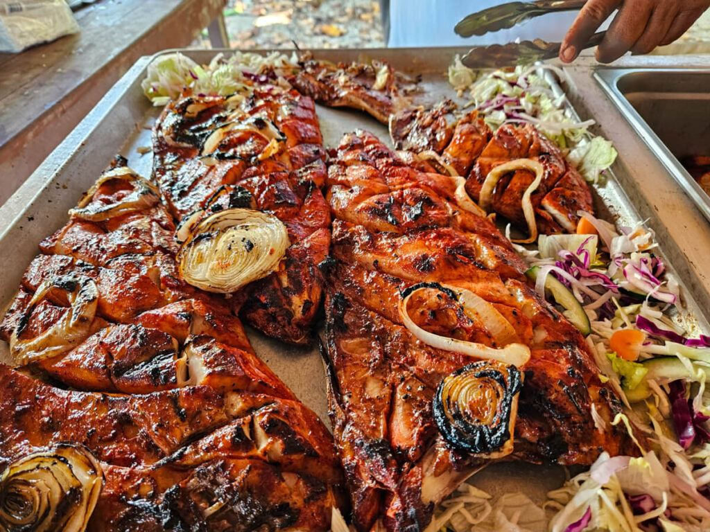 A fresh fish dish called Tikin Xic prepared by the boat captains of Ocean Tours Mexico.