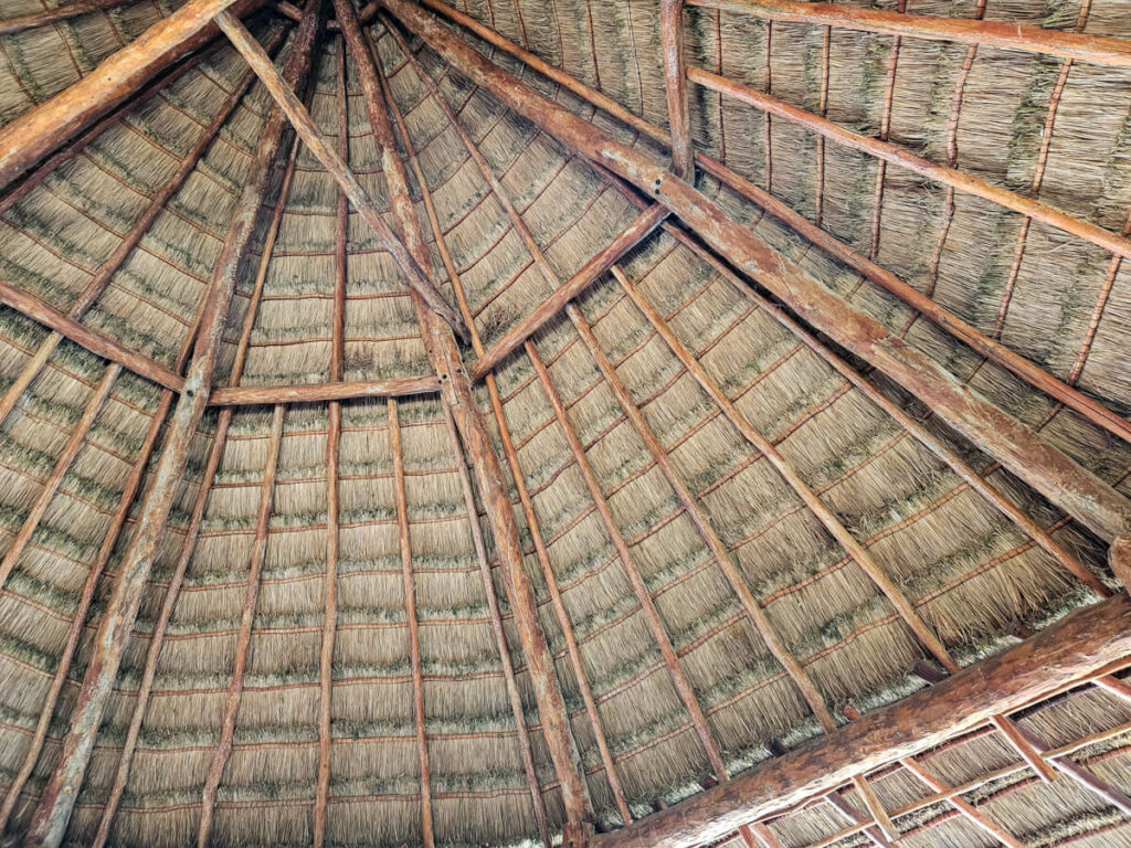 A traditionally weaved palapa-style roof on Isla Contoy.